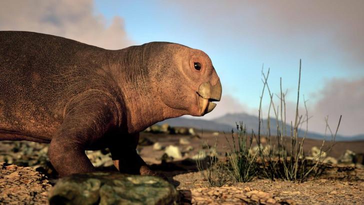 «&nbsp;Aux origines des mammifères, le monde avant les dinosaures&nbsp;»